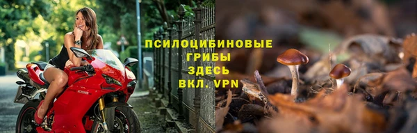 гашик Арсеньев