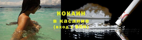 гашик Арсеньев