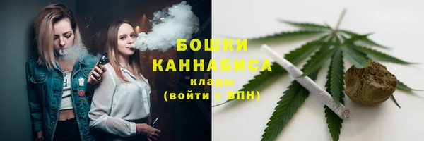 гашик Арсеньев
