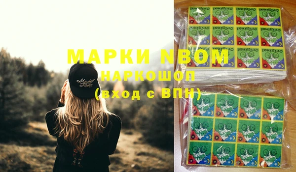крисы Няндома