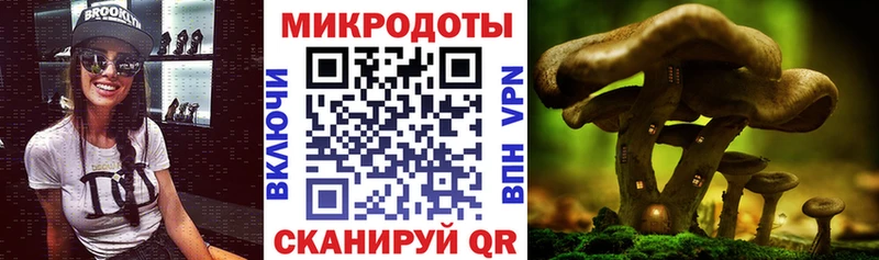 Купить закладки  Белая Калитва  Псилоцибиновые грибы Cubensis 